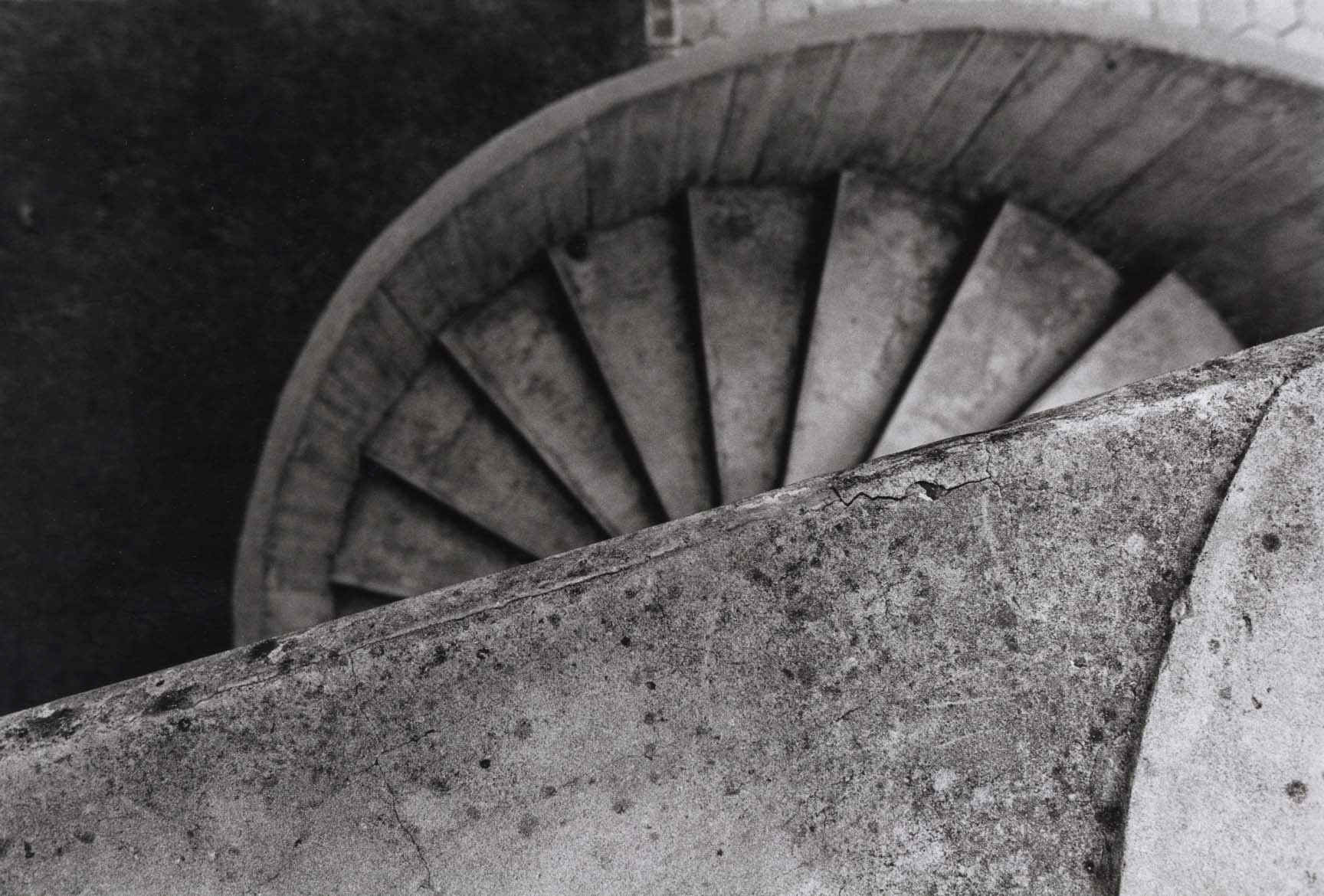 bib2.jpg (238592 bytes)