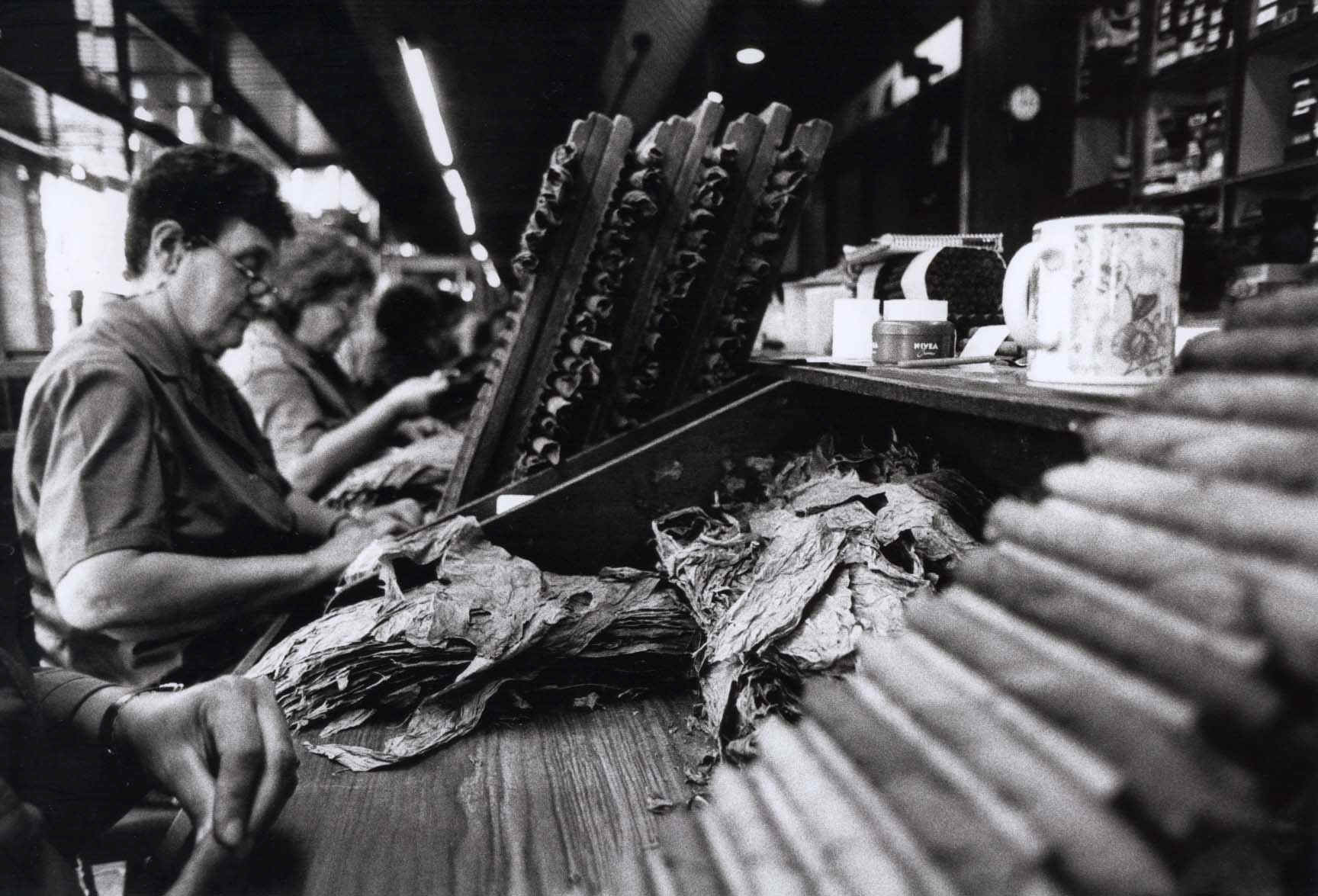 cig2.jpg (207153 bytes)